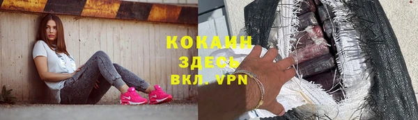 гидра Абаза