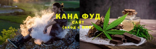 гидра Абаза
