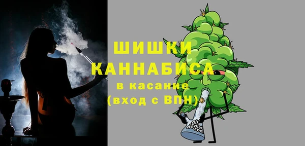 гидра Абаза