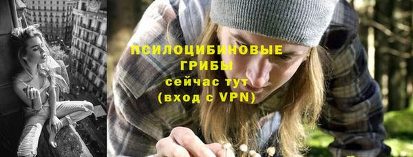 бутират Алексин