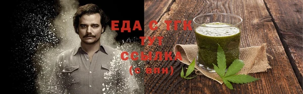 гидра Абаза