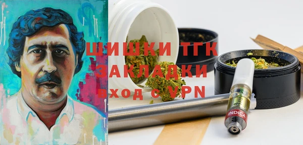 ешки Алзамай