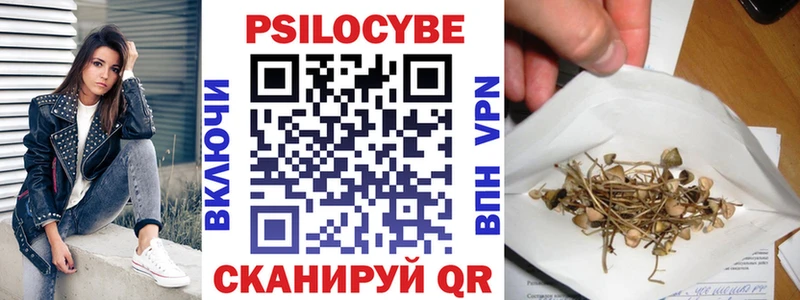 площадка официальный сайт Гаджиево Псилоцибиновые грибы Magic Shrooms наркошоп